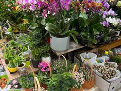 -循礼门鲜花花市(武汉循礼门店)