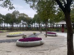 -嘉北郊野公园