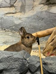 -Zoolung Zoolung动物主题公园(海信广场店)