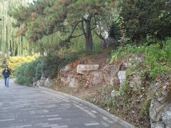 -紫竹院公园冰场