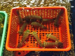 -灯笼馆海鲜餐厅
