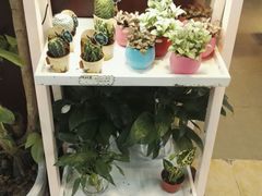 -博览书店(洛溪新城店)