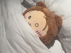 -河源万绿湖美思威尔顿酒店