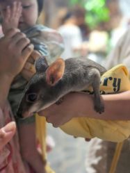 -Zoolung Zoolung动物主题公园(海信广场店)