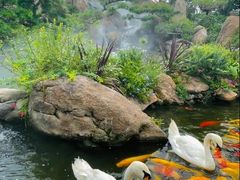 -罗红摄影艺术馆