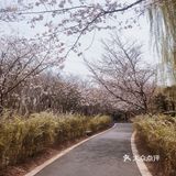 在草地上闲散的野餐是最好不过了