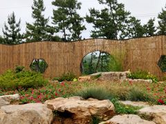 -羊亭河湿地公园