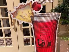 -Long Bar(莱佛士酒店)