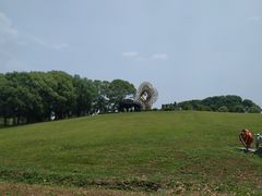 -莲花岛景区