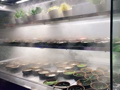 -吉布鲁牛排海鲜自助(温江合生汇店)