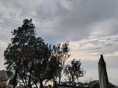 -东湖落雁景区