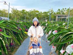 -尚果生态采摘园