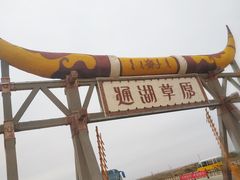 -通湖草原