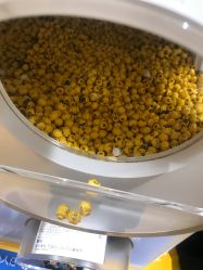 -乐高授权专卖店(朝阳大悦城店)