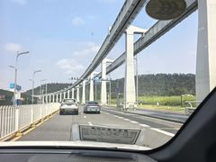 -东湖小天池真人CS彩弹野战基地