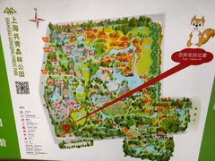 -上海共青森林公园