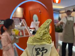 -野人先生现做冰淇淋(北京王府井东方新天地店)