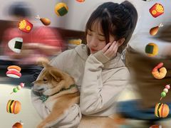-逗柴咖啡屋·狗咖猫咖宠物桌游
