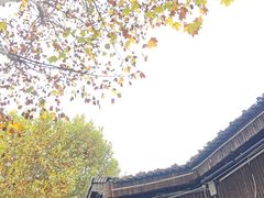 -金银湖国家城市湿地公园