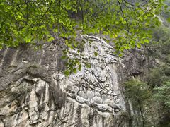 -石葵(锦业时代店)