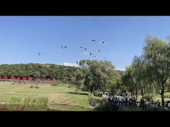 -沈阳森林动物园