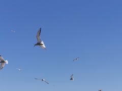 -卧龙湖