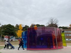 -金泽21世纪美术馆