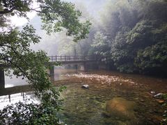 -祁门牯牛降观音堂风景区