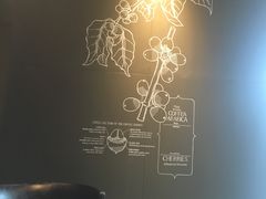 -星巴克臻选(宁波天一广场店)