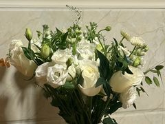-淘花源花艺鲜花店 开业花篮 绿植(南部商务区店)