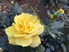 -人民公园(罗湖区)