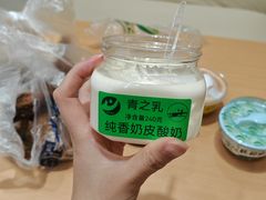 -德禄酸奶(莫家街店)