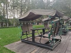 -合肥滨湖国家森林公园