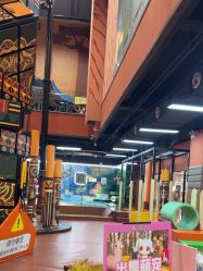 -卡通尼·Safari非洲探索乐园·生日会(金桥国际商业广场店)