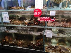 -超级物种·波龙工坊(国贸店)