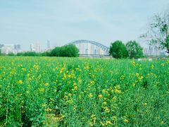 -汉江湾体育公园