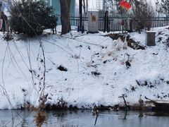 -商丘市人民公园