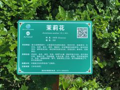 -广西壮族自治区药用植物园