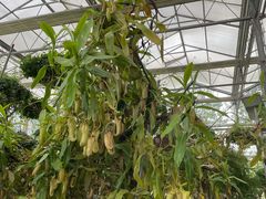 -南通洲际绿博园