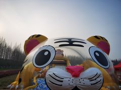 -黄海国家森林公园