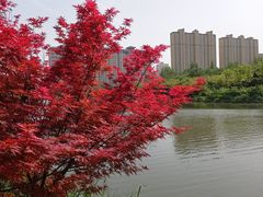 -西安汉城湖景区