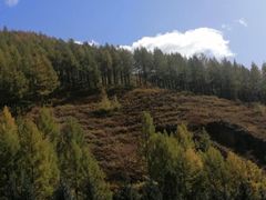 -塞罕坝国家级自然保护区