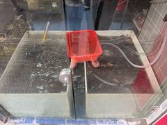 -龙虾奇迹(大华三路店)