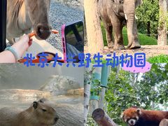 -北京野生动物园
