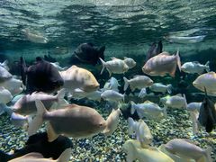 -成都浩海立方海洋公园