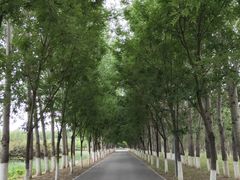-东郊湿地公园