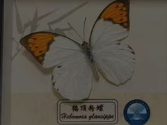 -辽宁大学(崇山校区)