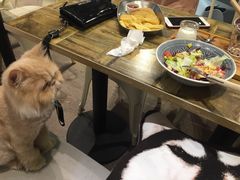 -小时光咖啡馆(开森度假森林店)