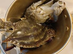 -九月海·海鲜自助(世纪东方店)