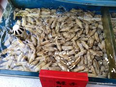 -北纬39度天津宴(黑牛城道店)